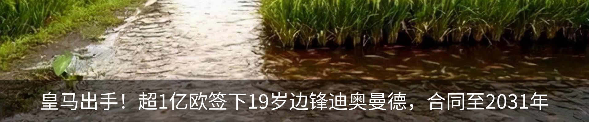 资讯中心